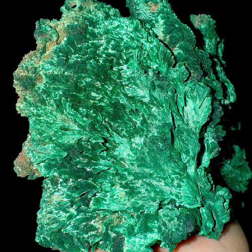 Fibrous Malachite | SELF STANDING | High Quality Mineral | Superb Minerals | Fine Minerals