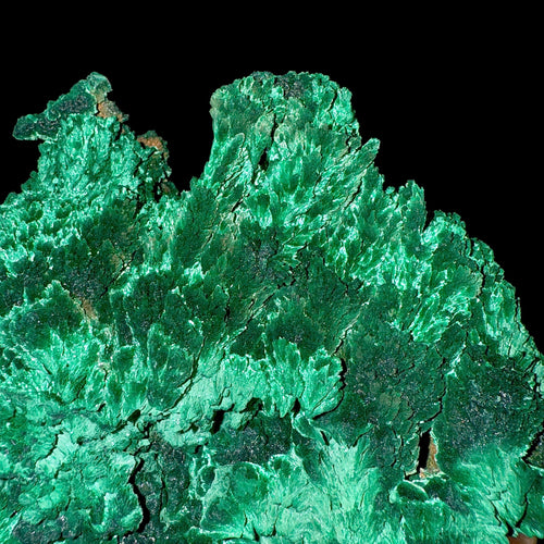 Fibrous Malachite | SELF STANDING | High Quality Mineral | Superb Minerals | Fine Minerals