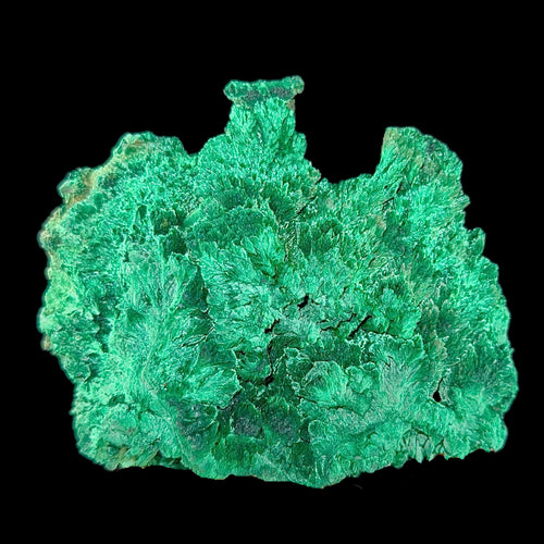 Fibrous Malachite | SELF STANDING | High Quality Mineral | Superb Minerals | Fine Minerals