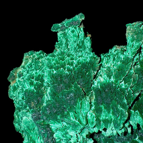 Fibrous Malachite | SELF STANDING | High Quality Mineral | Superb Minerals | Fine Minerals