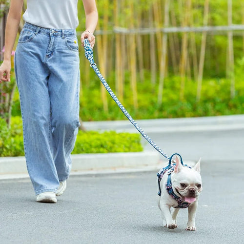 TrueLove Leash TLL3112