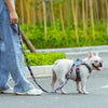TrueLove Leash TLL3112