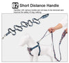TrueLove Leash TLL3112