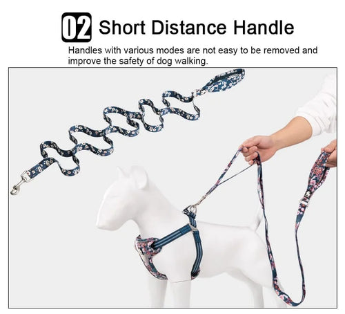 TrueLove Leash TLL3112