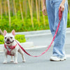TrueLove Leash TLL3112