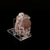 Fluorite ball on Amethyst Natural Mineral Specimen # B 6151