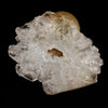 Fluorite ball on MM Quartz Natural Mineral Specimen # B 5338