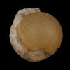 Fluorite ball on MM Quartz Natural Mineral Specimen # B 5351
