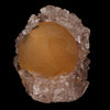 Fluorite ball on MM Quartz Natural Mineral Specimen # B 5392