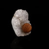 Fluorite ball on MM Quartz Natural Mineral Specimen # B 6183