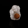 Fluorite ball on MM Quartz Natural Mineral Specimen # B 6183