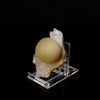 Fluorite ball on MM Quartz Natural Mineral Specimen # B 6198