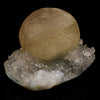 Fluorite balls on MM Quartz Natural Mineral Specimen # B 5935