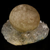 Fluorite balls on MM Quartz Natural Mineral Specimen # B 5935