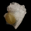 Fluorite balls on MM Quartz Natural Mineral Specimen # B 5943
