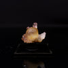 Fluorite Botryoidalon on Amethyst Natural Mineral Specimen # B 6719