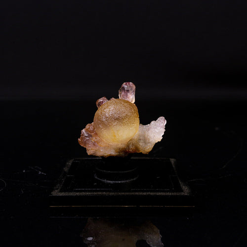 Fluorite Botryoidalon on Amethyst Natural Mineral Specimen # B 6719