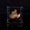 Fluorite Botryoidalon on Amethyst Natural Mineral Specimen # B 6719