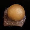 Fluorite  Botryoidal on Quartz Natural Mineral Specimen  # B 5039