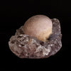 Fluorite Botryoidal on Amethyst Natural Mineral Specimen  # B 5042