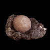 Fluorite Botryoidal on Amethyst Natural Mineral Specimen  # B 5042
