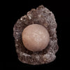 Fluorite Botryoidal on Amethyst Natural Mineral Specimen  # B 5042
