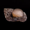Fluorite Botryoidal on Amethyst Natural Mineral Specimen  # B 5042
