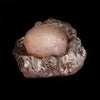 Fluorite Botryoidal on Amethyst Natural Mineral Specimen  # B 5042