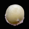 Rare Jumbo Botryoidal Fluorite  – Indian Zeolite Mineral Specimen from Madhya Pradesh DK108