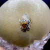 Rare Jumbo Botryoidal Fluorite  – Indian Zeolite Mineral Specimen from Madhya Pradesh DK108
