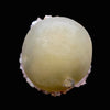 Rare Jumbo Botryoidal Fluorite  – Indian Zeolite Mineral Specimen from Madhya Pradesh DK108