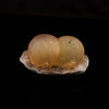 Fluorite Dual Ball on Amethyst Very Rare Natural Mineral Specimen # B 6099