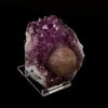 Fluorite Huge Ball on Amethyst Very Rare Natural Mineral Specimen # B 5923