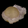 Fluorite Huge Ball on Amethyst Very Rare Natural Mineral Specimen # B 5926