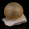 Fluorite Huge balls on MM Quartz Natural Mineral Specimen # B 5946