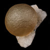 Fluorite Huge balls on MM Quartz Natural Mineral Specimen # B 5946
