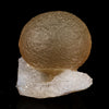 Fluorite Huge balls on MM Quartz Natural Mineral Specimen # B 5946