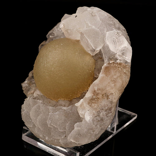 Fluorite Huge balls on MM Quartz Natural Mineral Specimen # B 5956