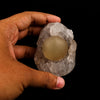 Fluorite Huge balls on MM Quartz Natural Mineral Specimen # B 5956