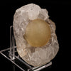 Fluorite Huge balls on MM Quartz Natural Mineral Specimen # B 5956