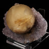 Fluorite on Amethyst Natural Mineral Specimen # B 5621