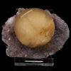 Fluorite on Amethyst Natural Mineral Specimen # B 5621