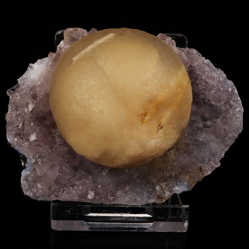Fluorite on Amethyst Natural Mineral Specimen # B 5621