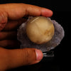 Fluorite on Amethyst Natural Mineral Specimen # B 5621