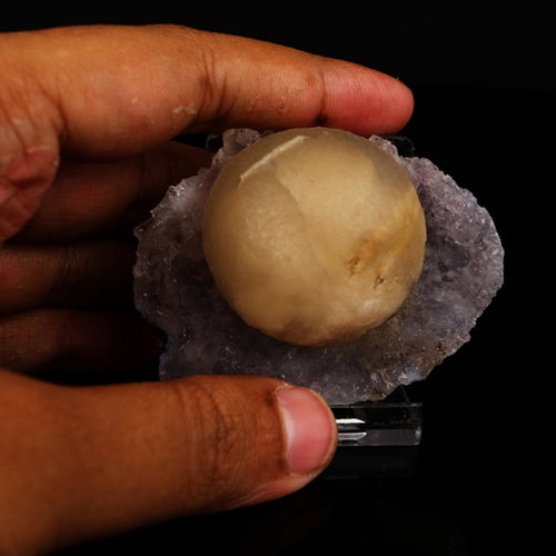 Fluorite on Amethyst Natural Mineral Specimen # B 5621