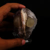Fluorite on Amethyst Natural Mineral Specimen # B 5637