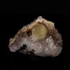Fluorite on Amethyst Natural Mineral Specimen # B 5637