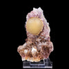 Fluorite on Amethyst Natural Mineral Specimen # B 6991