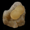 Fluorite on MM Quartz Natural Mineral Specimen # B 5615