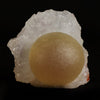 Fluorite (rare botryoidal) on Quartz  Natural Mineral Specimen  # B 5031